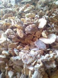 Coir Fiber