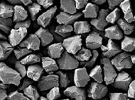 Coir Fiber