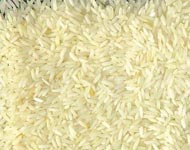 Coir Fiber
