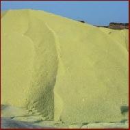 Coir Fiber