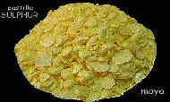 Coir Fiber