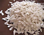 Coir Fiber