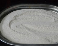 Coir Fiber