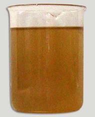 Coir Fiber