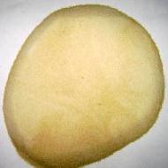 Coir Fiber
