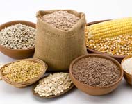 Coir Fiber