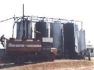 Coir Fiber