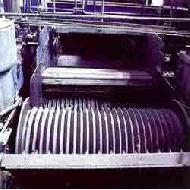 Coir Fiber