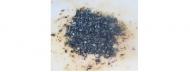Coir Fiber