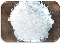 Coir Fiber