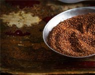 Coir Fiber