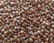 Coir Fiber