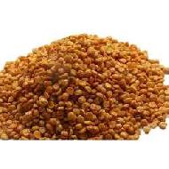 Coir Fiber