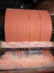 Coir Fiber