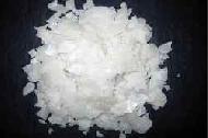 Coir Fiber