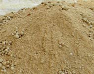 Coir Fiber