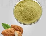 Coir Fiber