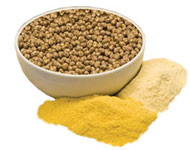 Coir Fiber