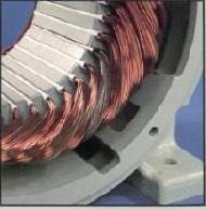 Coir Fiber