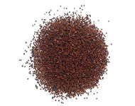 Coir Fiber