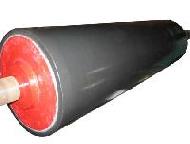 Coir Fiber