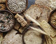 Coir Fiber