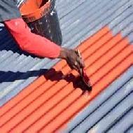 Coir Fiber