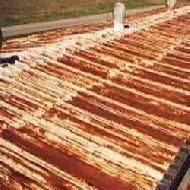 Coir Fiber