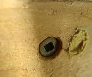 Coir Fiber