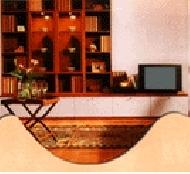 Coir Fiber