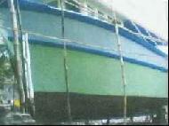 Coir Fiber