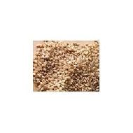 Coir Fiber