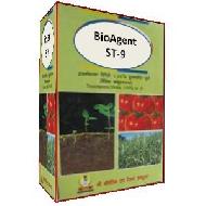 Coir Fiber