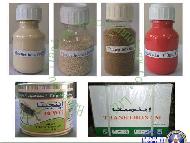 Coir Fiber
