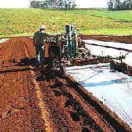 Coir Fiber