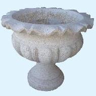 Coir Fiber