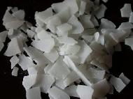 Coir Fiber