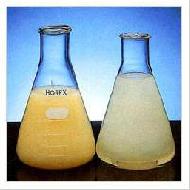 Coir Fiber