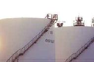 Coir Fiber