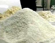 Coir Fiber