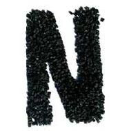 Coir Fiber