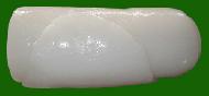 Coir Fiber