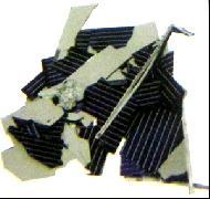 Coir Fiber
