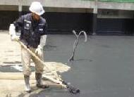 Coir Fiber