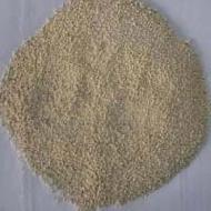 Coir Fiber
