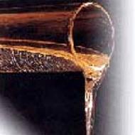 Coir Fiber