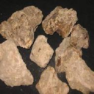 Coir Fiber