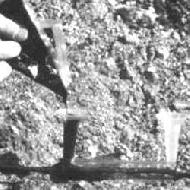 Coir Fiber