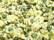 Coir Fiber