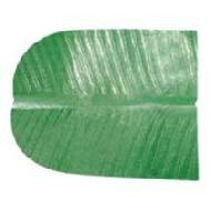 Coir Fiber